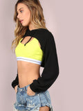 ladies crop pullover sweater top