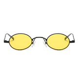 Iconic eyewear Classic round small vintage sunglasses
